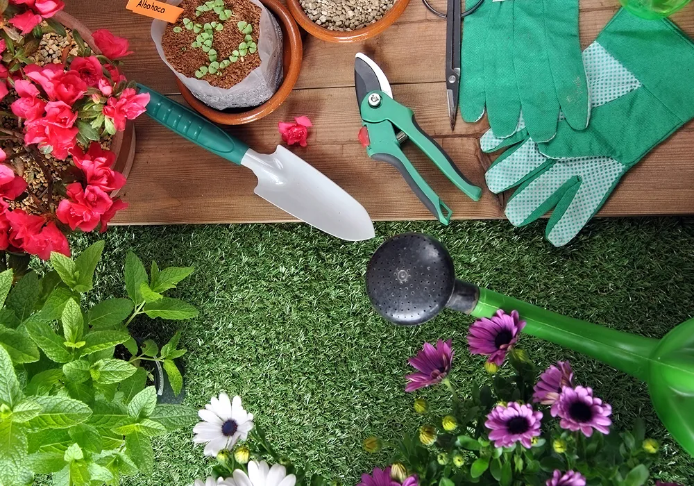Mantenimiento del jardín en primavera: consejos estacionales para un jardín floreciente
