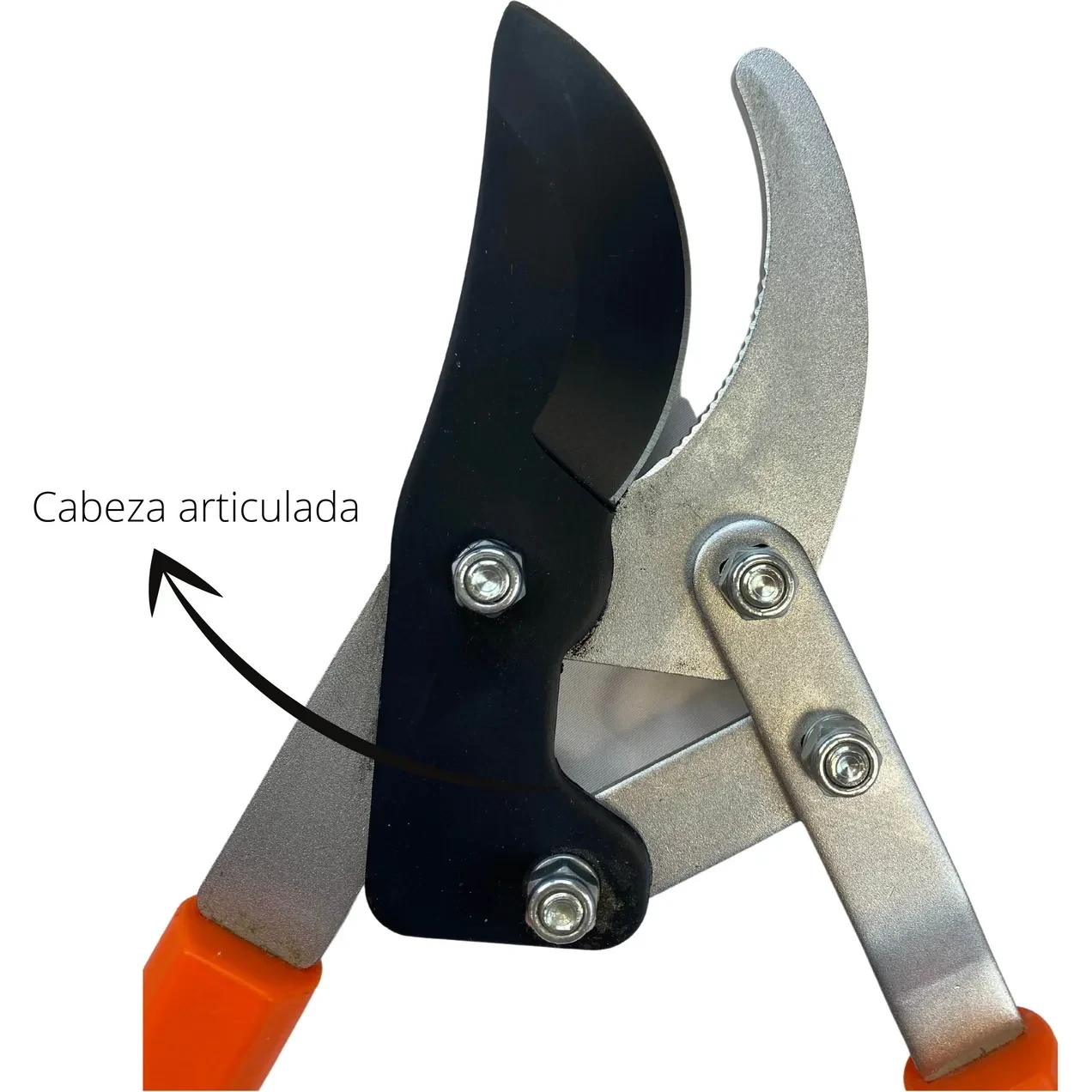 Imagen de RGX PODADERA TELESCOP. ALUMINIO CABEZA ARTICU RGX PODADERA TELESCOP. ALUMINIO CABEZA ARTICU