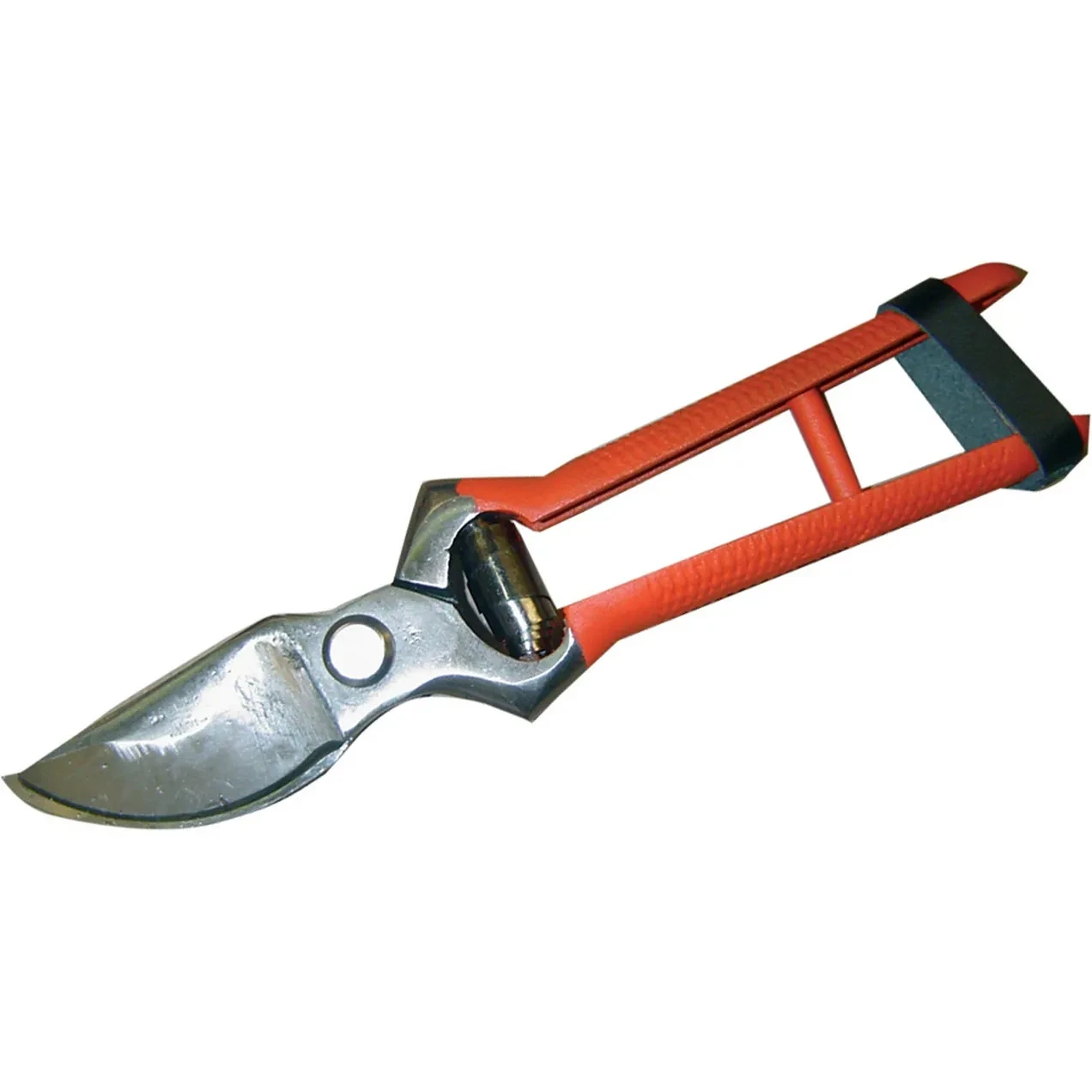 Imagen de RGX TIJERA PODA 1 MANO 19 CM BLISTER RGX TIJERA PODA 1 MANO 19 CM BLISTER
