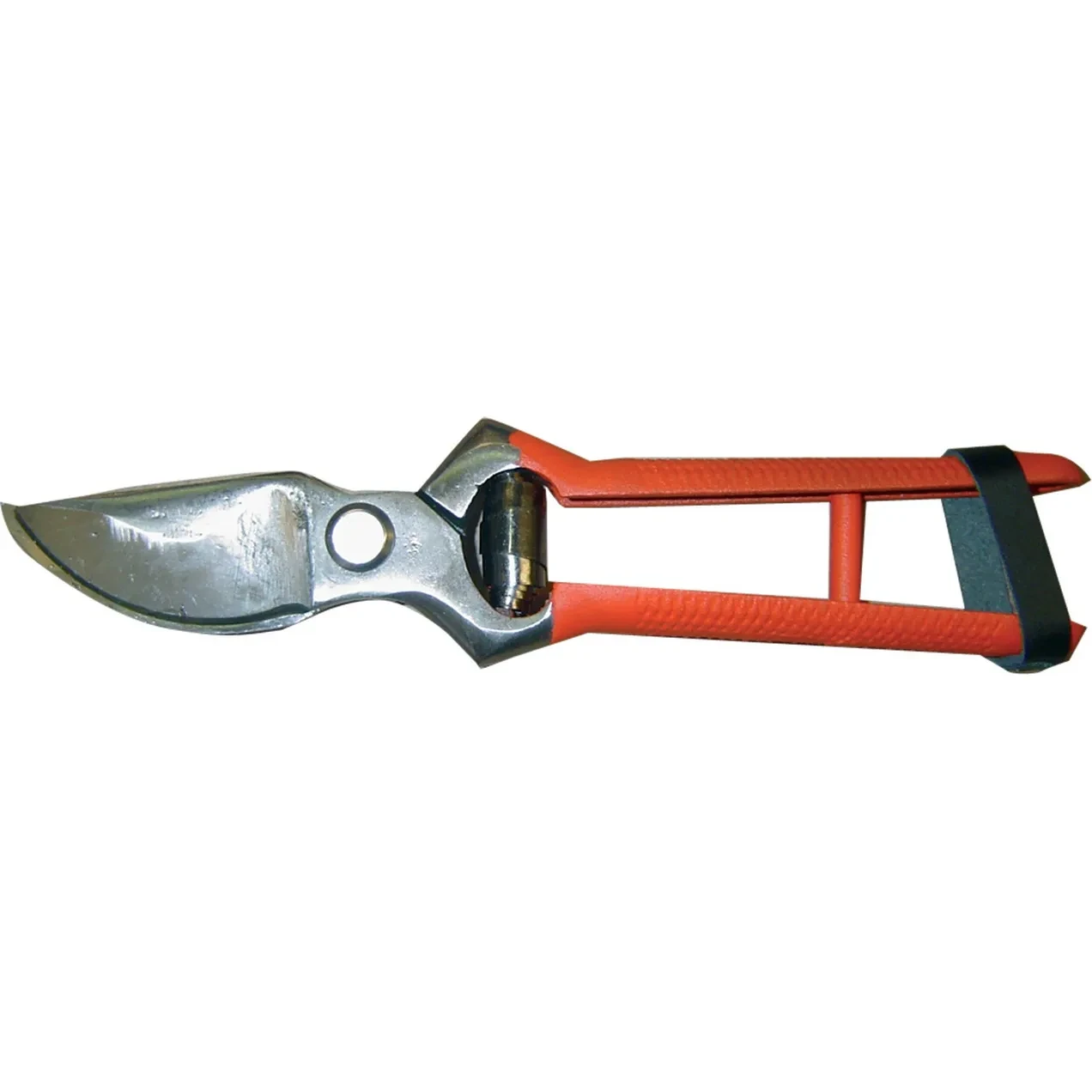 Imagen de RGX TIJERA PODA 1 MANO 21 CM BLISTER RGX TIJERA PODA 1 MANO 21 CM BLISTER