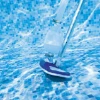 Imagen de RECOGEHOJAS PISC.