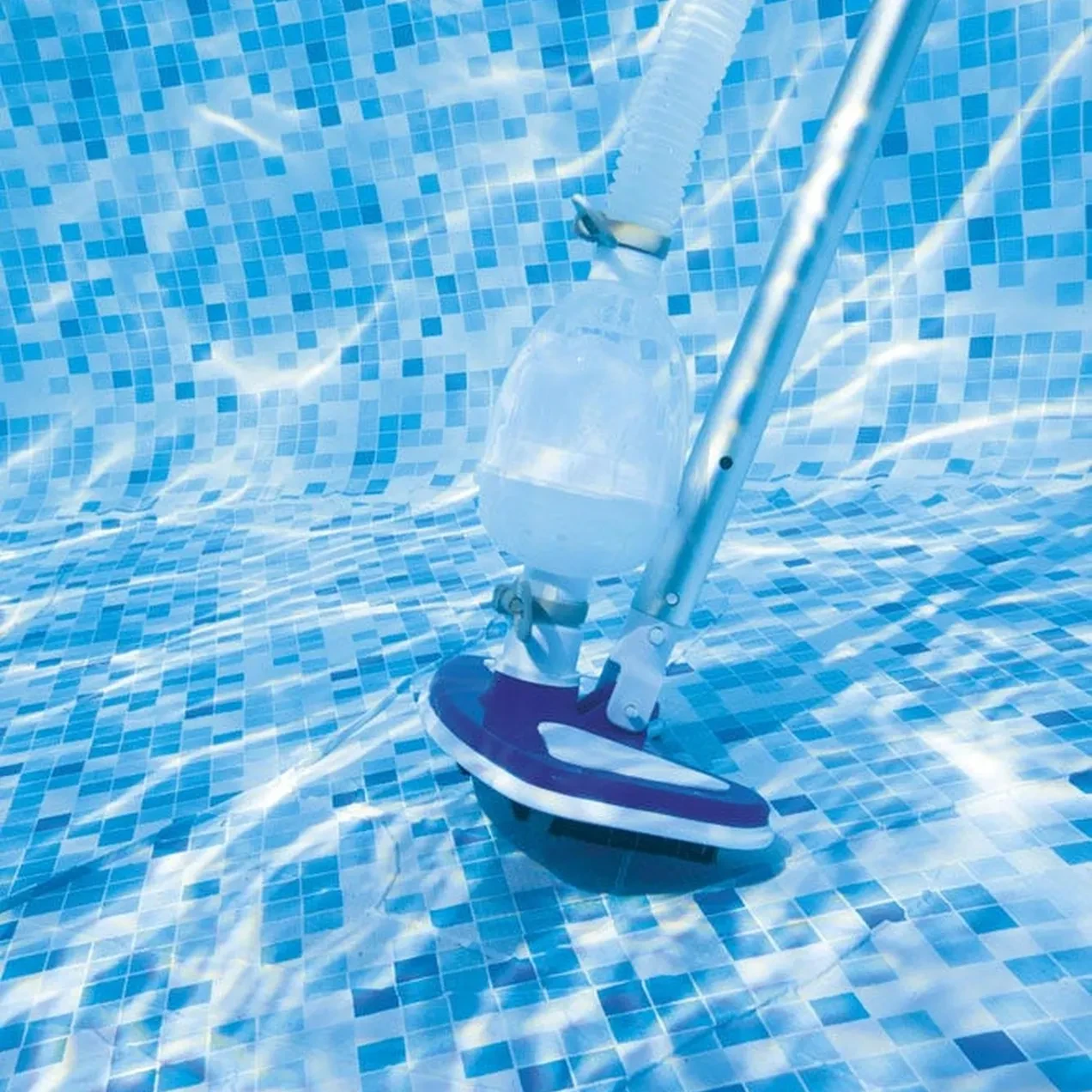 Imagen de RECOGEHOJAS PISC.