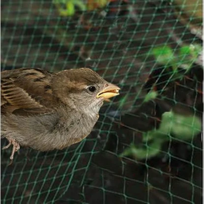 Imagen de RGX MALLA ANTIPAJAROS 2X10 MT RGX MALLA ANTIPAJAROS 2X10 MT