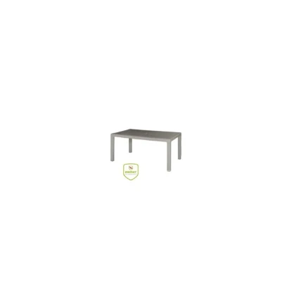 Imagen de MESA RESINA ANTIINSECTOS 150X9