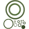 Picture of RGX JUNTA VITON JGO. REPUESTO PULVERIZADOR 710098 RGX JUNTA VITON JGO. REPUESTO PULVERIZADOR 710098