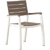 Imagen de SILLON JARD HARMONY RES EFECTO