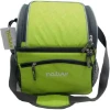 Imagen de NEVERA FLEX 15LT