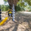 Imagen de AHOYADORA GAS. 52CC-1,9KW-80CM