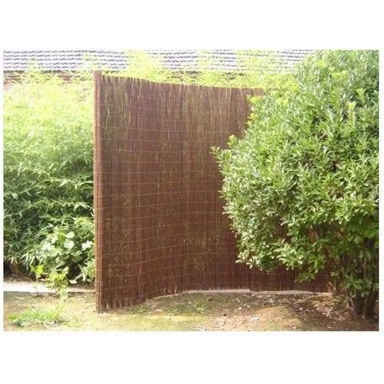 Imagen de MIMBRE NAT. 1X5MT NATUUR