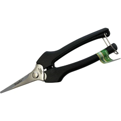 Imagen de RGX TIJERA VENDIMIA HOJA RECTA 184MM INOX RGX TIJERA VENDIMIA HOJA RECTA 184MM INOX
