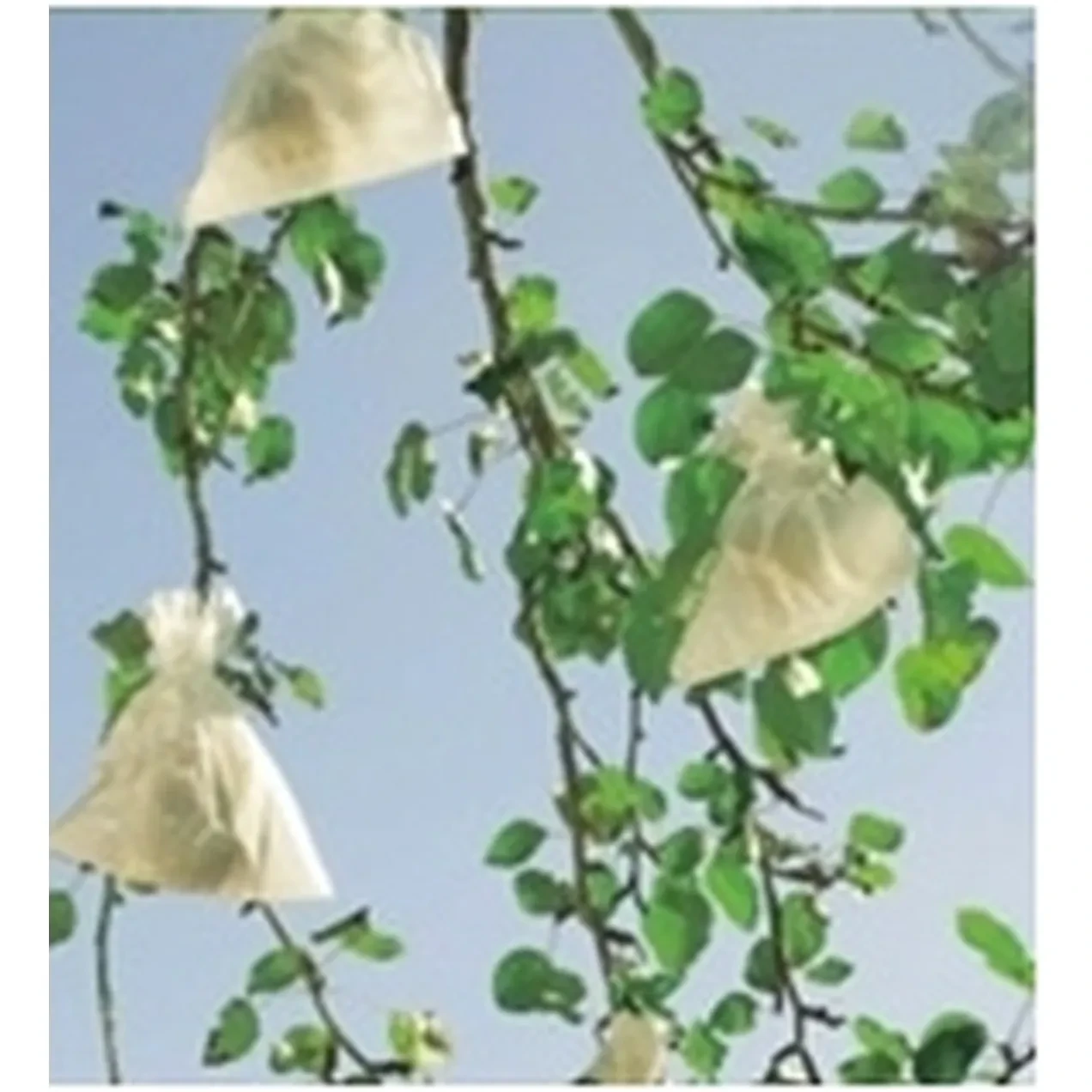 Imagen de BOLSA PAPEL UVAS 17X22 BOLSA 50U