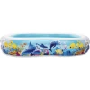 Imagen de PISCINA HINCH 262X157X46CM FON