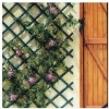 Imagen de CELOSIA JARD 1X2MT TRELLIFLEX