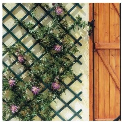 Imagen de CELOSIA JARD 1X2MT TRELLIFLEX