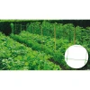 Imagen de RGX MALLA ENTUTORAR 15X15CM 2,00X25M VERDE RGX MALLA ENTUTORAR 15X15CM 2,00X25M VERDE