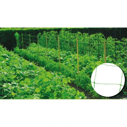 Imagen de RGX MALLA ENTUTORAR 15X15CM 2,00X25M VERDE RGX MALLA ENTUTORAR 15X15CM 2,00X25M VERDE