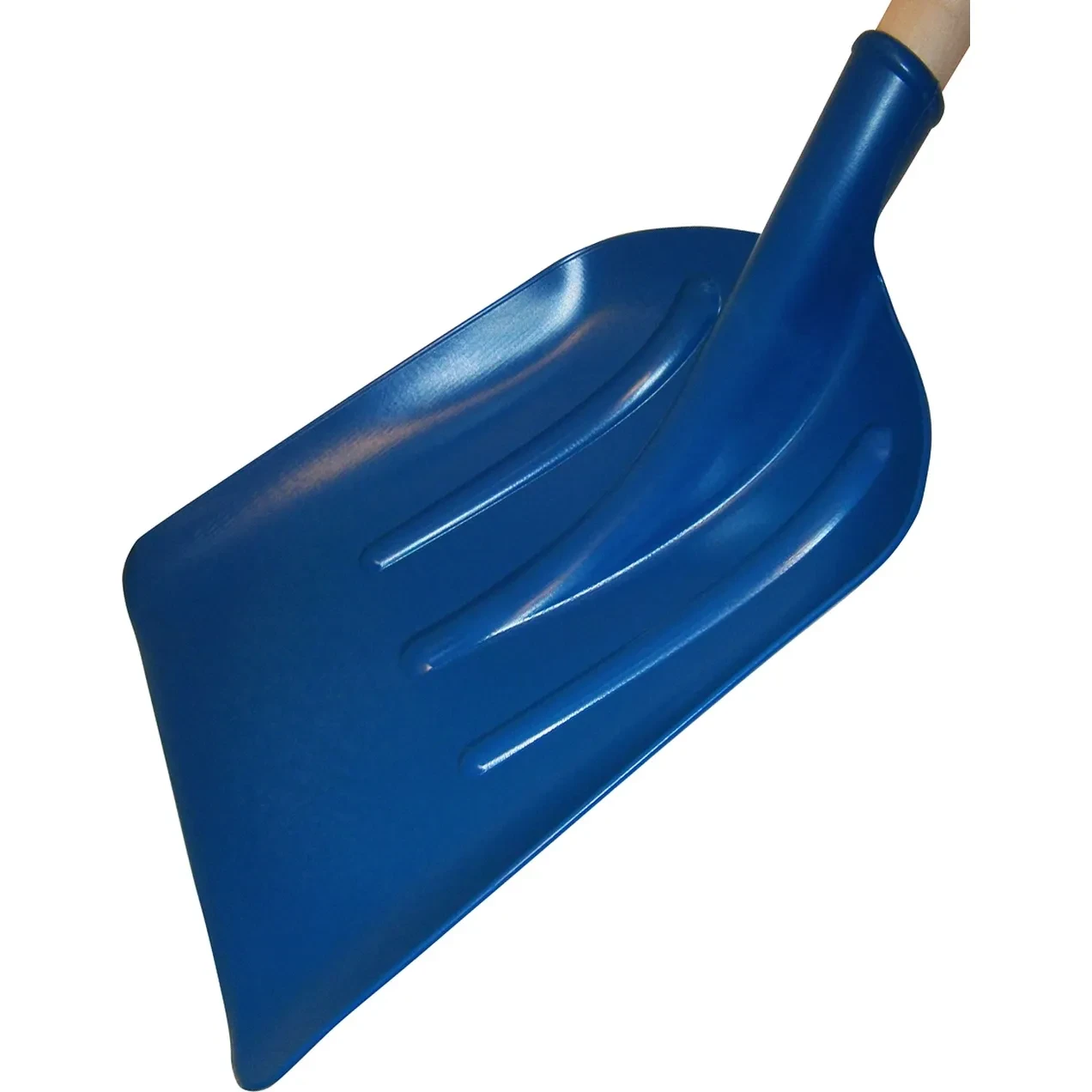 Imagen de RGX PALA POLIAMIDA 34CM 700GR AZUL (999250/51) RGX PALA POLIAMIDA 34CM 700GR AZUL (999250/51)
