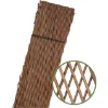Imagen de CELOSIA EXTENSIBLE MIMBRE 50X1