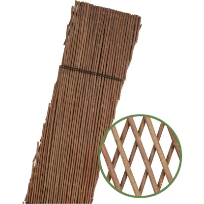 Imagen de CELOSIA EXTENSIBLE MIMBRE 50X1