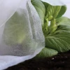 Imagen de TELA PROTECCION CULTIVO 30 GR 2X10 M