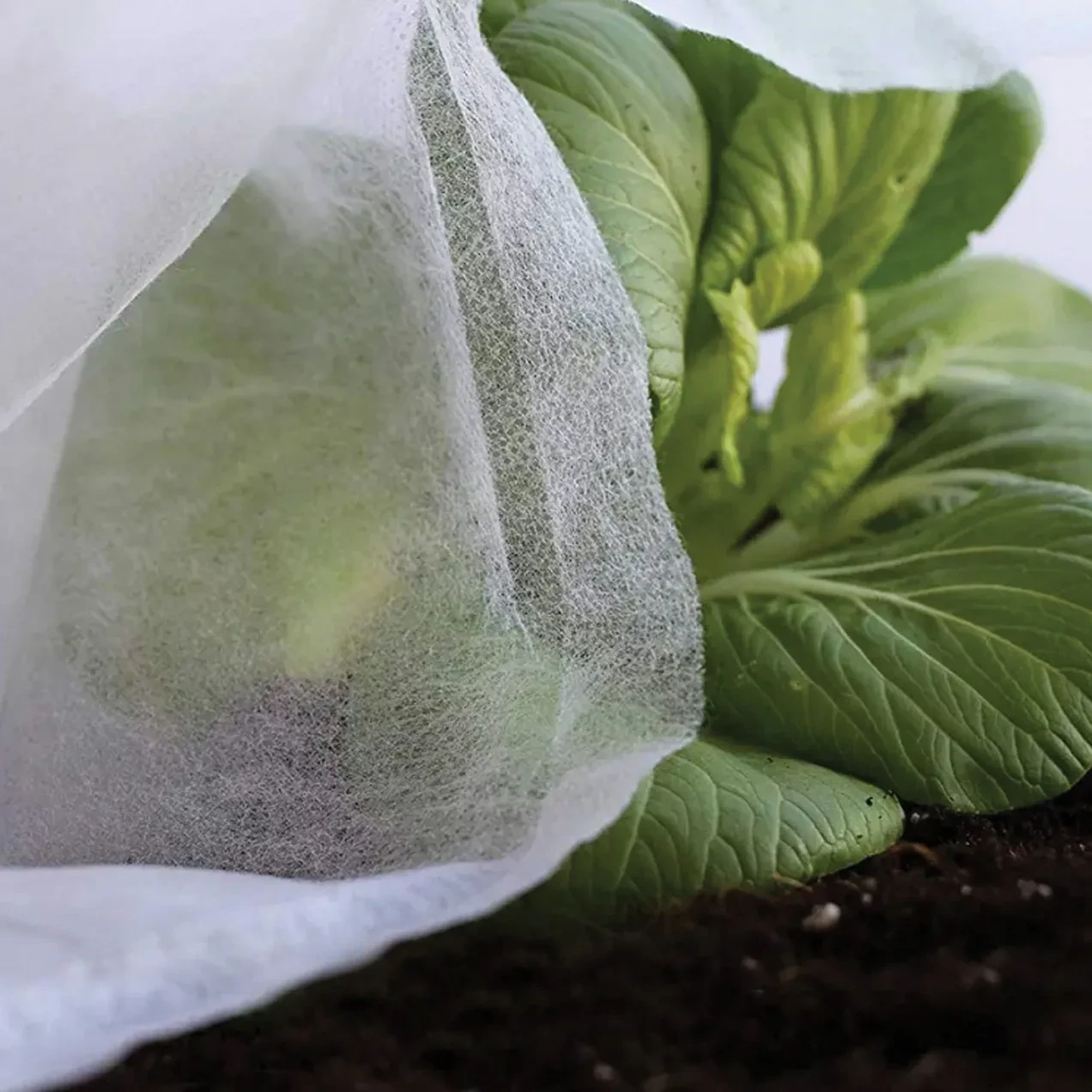Imagen de TELA PROTECCION CULTIVO 30 GR
