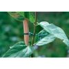 Imagen de ALAMBRE JARDIN ALMA VERD 25 M