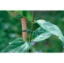 Imagen de ALAMBRE JARDIN ALMA VERD 25 M