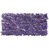 Imagen de CELOSIA EXTENSIBLE MIMBRE LILA