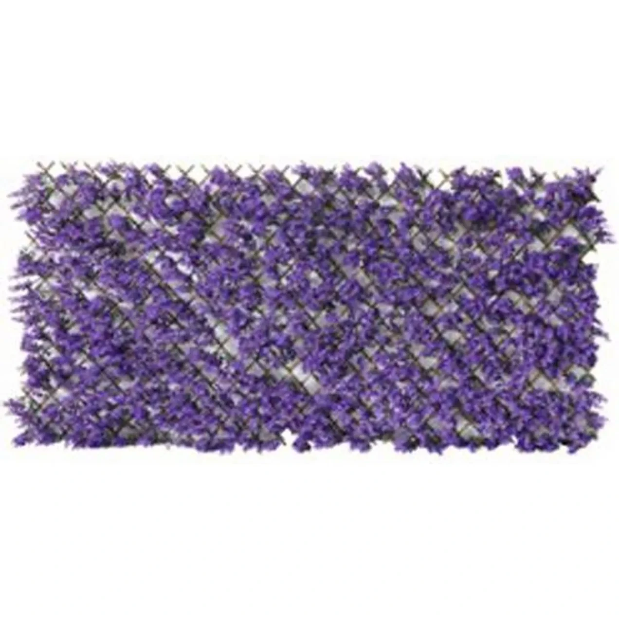 Imagen de CELOSIA EXTENSIBLE MIMBRE LILA
