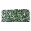 Imagen de CELOSIA EXTENSIBLE MIMBRE HIED
