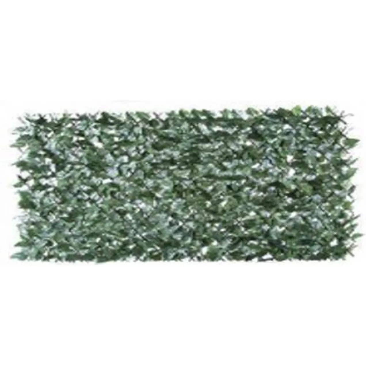Imagen de CELOSIA EXTENSIBLE MIMBRE HIED