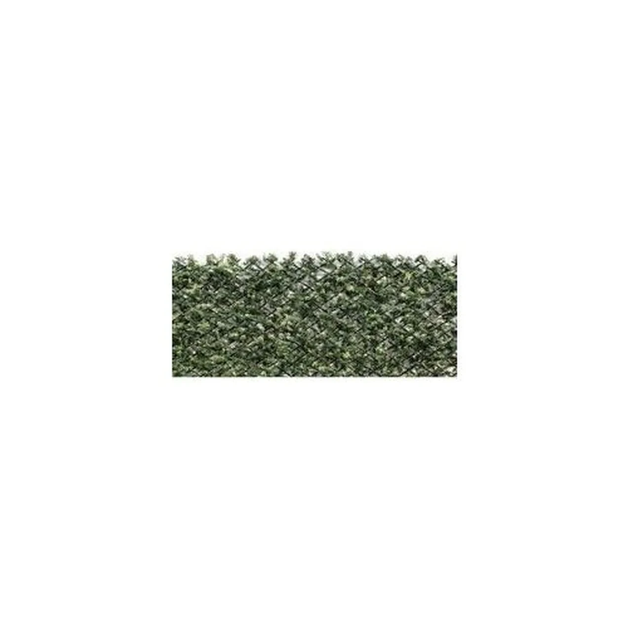 Imagen de CELOSIA EXTENSIBLE MIMBRE CIPR