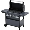 Imagen de BARBACOA A GAS 4 QUEMADORES 12
