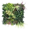 Imagen de JARDIN VERTICAL BELICE A 50 X