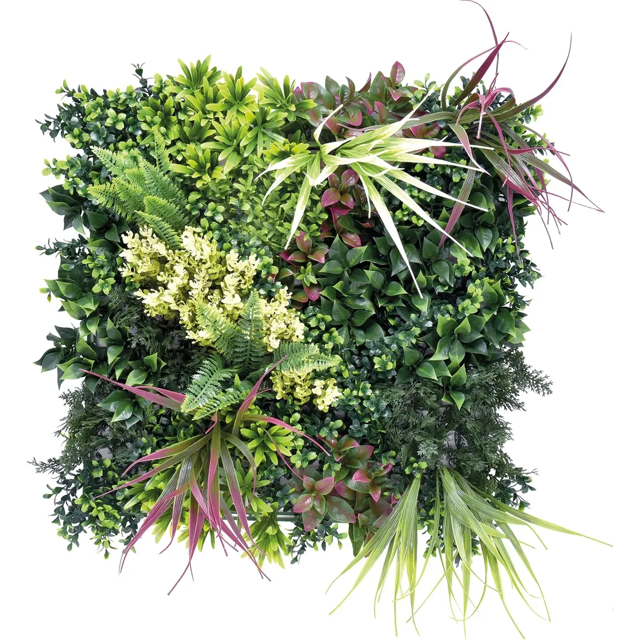 Imagen de JARDIN VERTICAL BELICE A 50 X