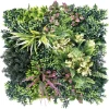 Imagen de JARDIN VERTICAL BELICE B 50 X