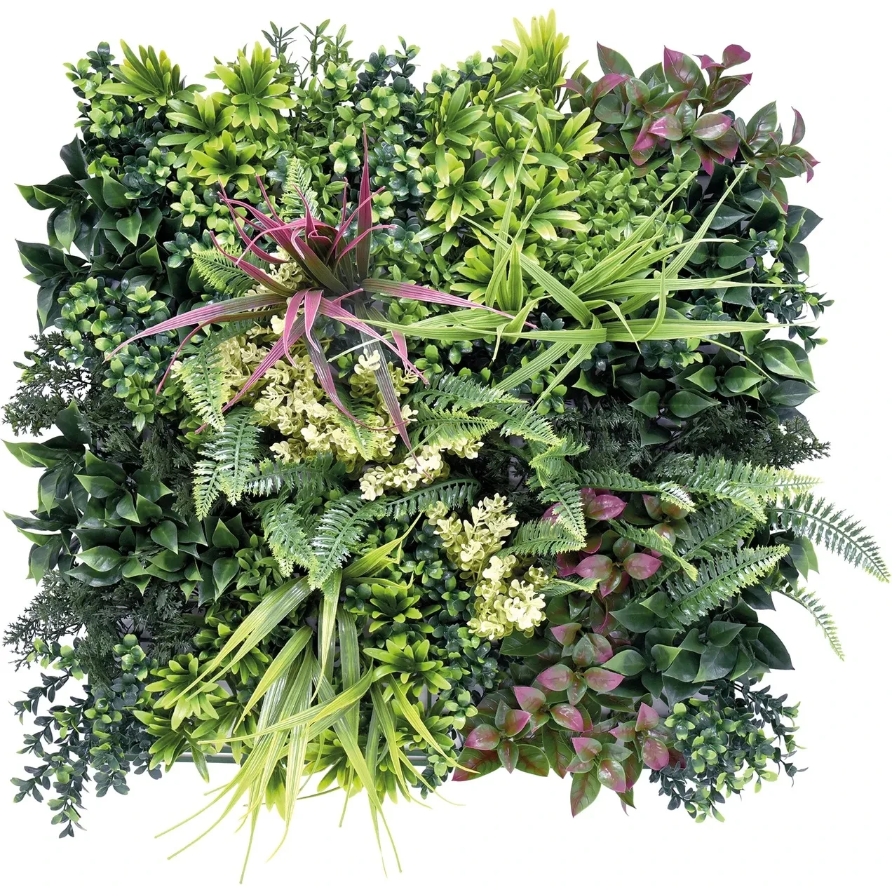 Imagen de JARDIN VERTICAL BELICE C 50 X