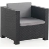 Imagen de SILLON RATAN RESINA DIVA GRAFI