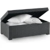 Imagen de BAUL MESA RATAN RES DIVA GRAF