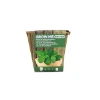 Imagen de SEMILLAS MENTA PEPERITA 0,1 GR