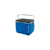 Imagen de NEVERA RIGIDA BLACK & BLUE 16Q