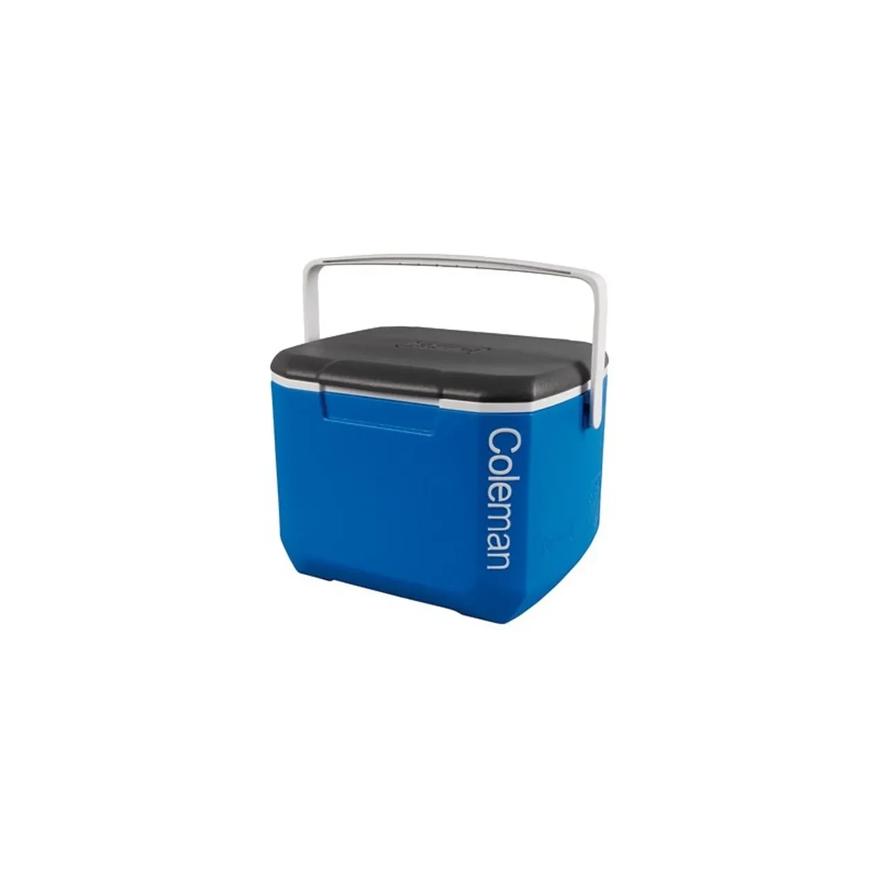 Imagen de NEVERA RIGIDA BLACK & BLUE 16Q