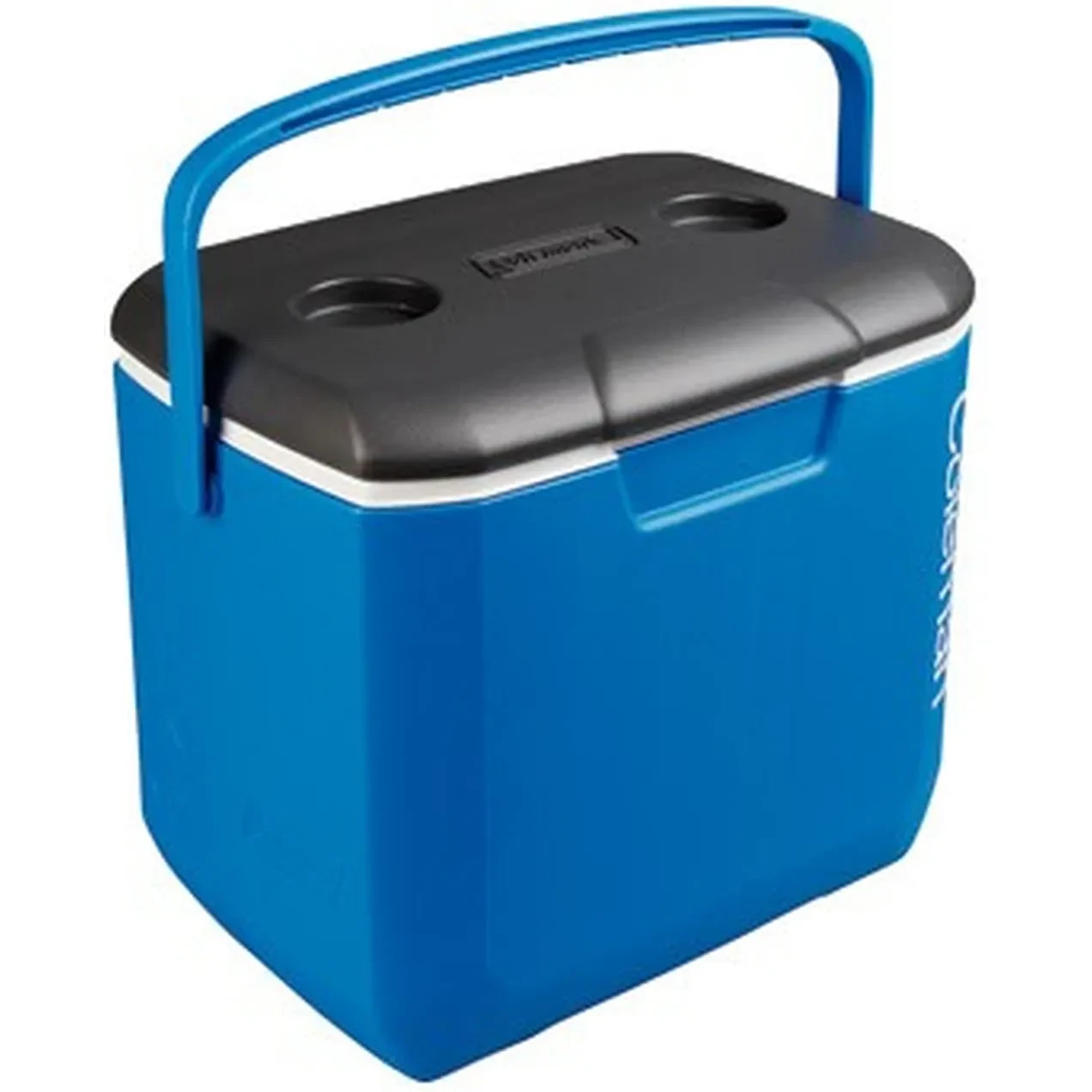 Imagen de NEVERA RIGIDA BLACK & BLUE 30Q