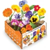 Imagen de HUERTO URBANO FLORES COMESTIBL
