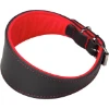 Imagen de COLLAR GALGO 2154014501