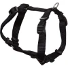 Imagen de COLLAR ANCHO 1CM CAB 23A35CM