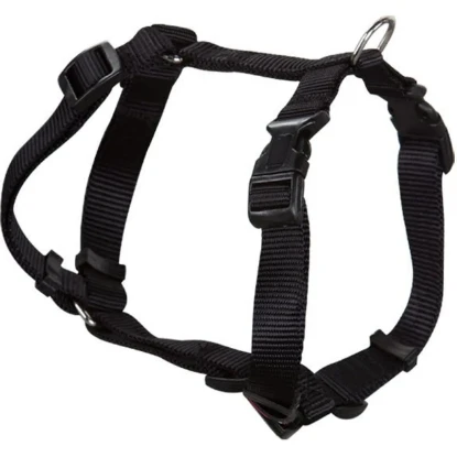 Imagen de COLLAR ANCHO 1CM CAB 23A35CM
