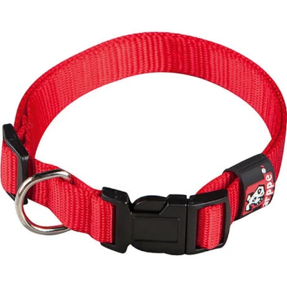 Imagen de COLLAR MASCOTA ANCHO 2CM USO 3