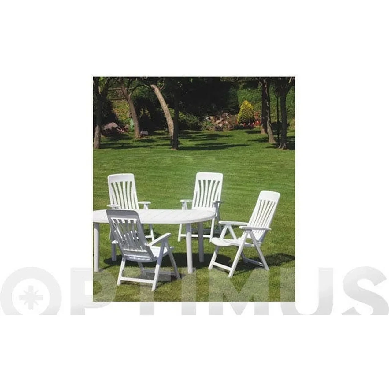 Imagen de SILLON POSICIONES RESINA BLANE
