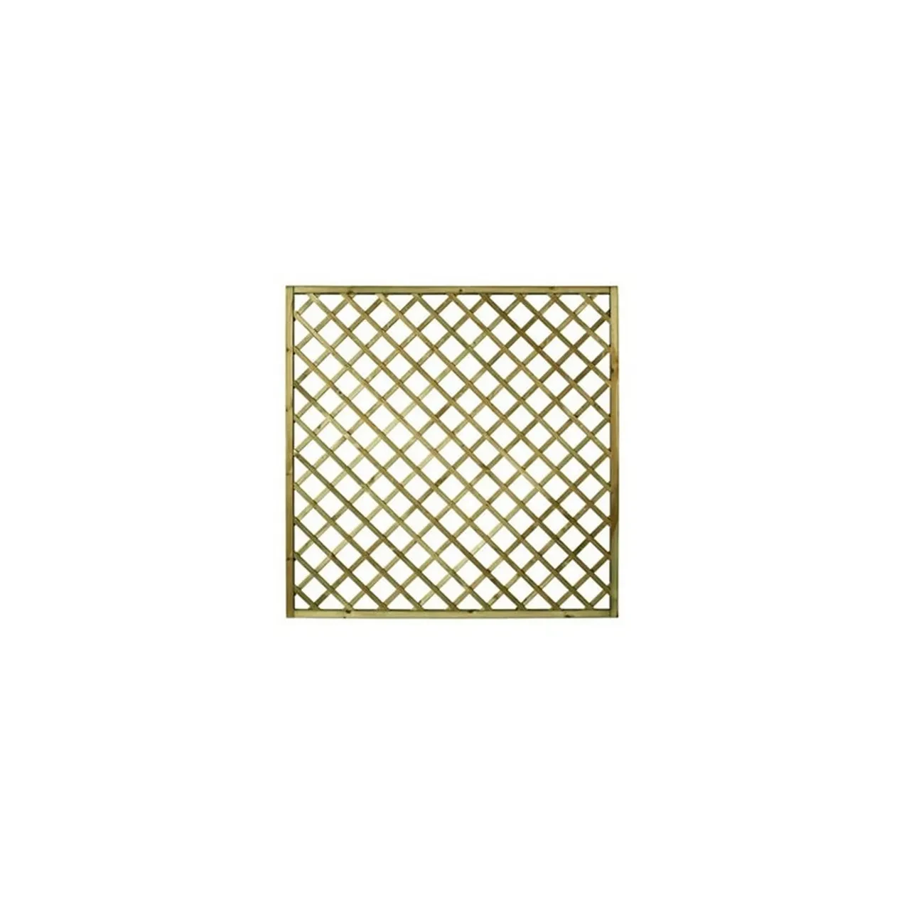 Imagen de CELOSIA MADERA PREMICES CON MA